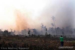 Haze from the ongoing burning of the peatland forest in Teluk Meranti village, Pelalawan, Riau.