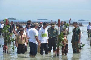 jokowi laut